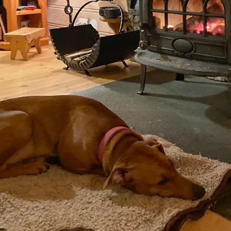 Casa de Férias 3 Bedroom Gorgeous In *