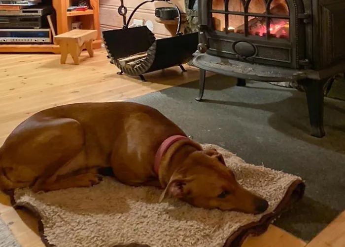 Hébergement de vacances 3 Bedroom Gorgeous In *